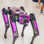 Innovation & Technology Expo