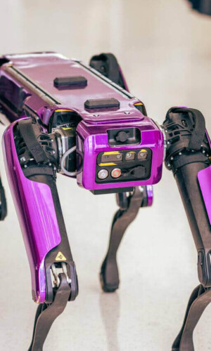 Innovation & Technology Expo